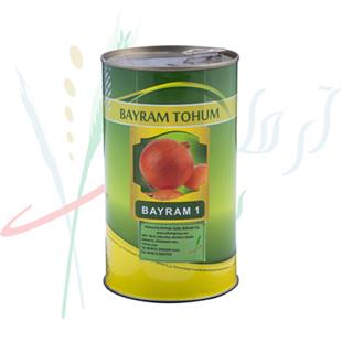 Long-day onions Bayram 1